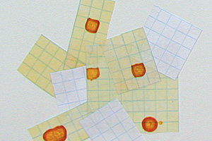 art grid