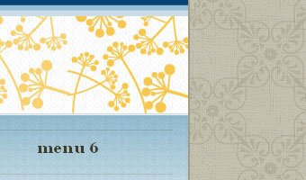 CSS - Free Template II