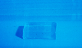 Gelatin Art 1